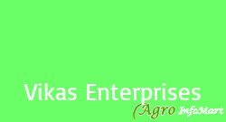 Vikas Enterprises delhi india