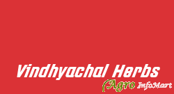 Vindhyachal Herbs