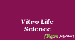 Vitro Life Science hyderabad india