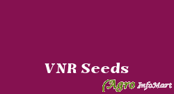 VNR Seeds raipur india