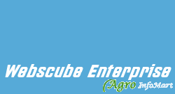 Webscube Enterprise gandhinagar india