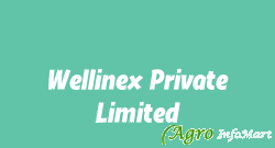 Wellinex Private Limited mumbai india