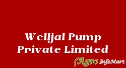 Welljal Pump Private Limited rajkot india