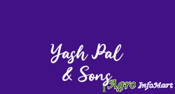 Yash Pal & Sons delhi india