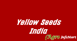 Yellow Seeds India jaipur india