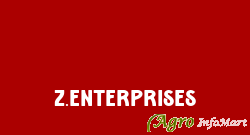 Z.enterprises delhi india