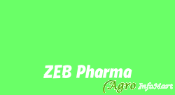 ZEB Pharma ahmedabad india