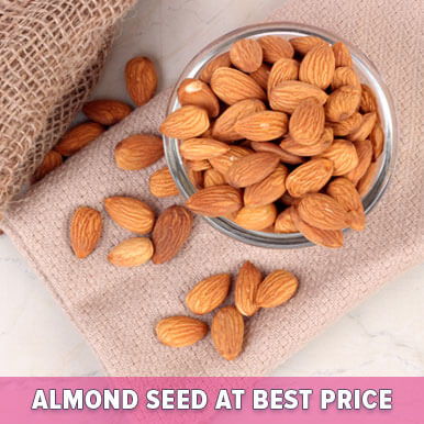almond seed Manufacturers
