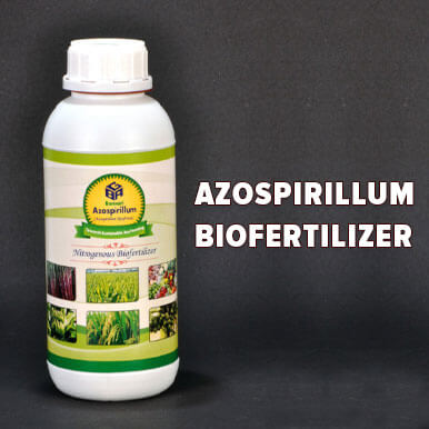 azospirillum biofertilizer Manufacturers