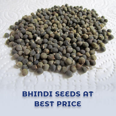 bhindi seeds Manufacturers