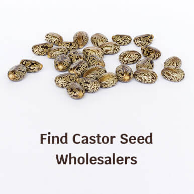 castor seed Manufacturers