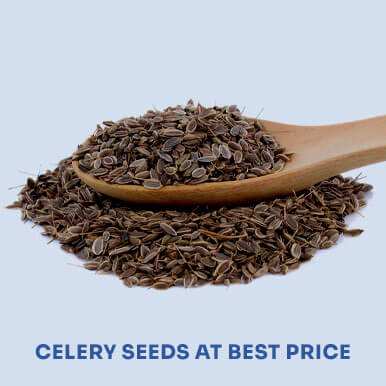Wholesale celery seeds Suppliers