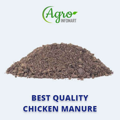 Wholesale chicken manure Suppliers