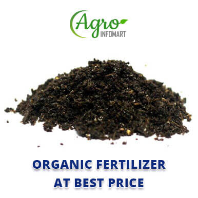 Wholesale organic fertilizer Suppliers
