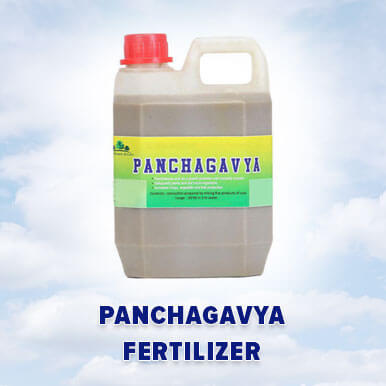 Wholesale panchagavya fertilizer Suppliers