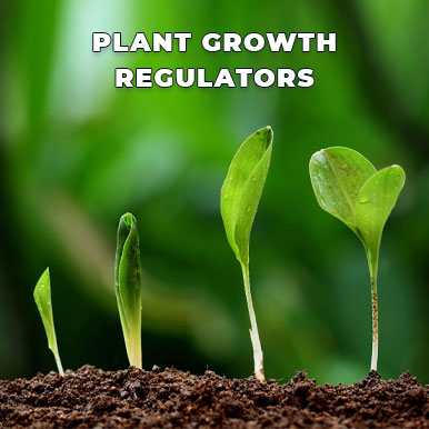 Wholesale plant growth regulators Suppliers