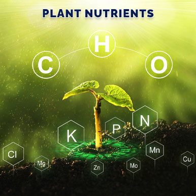 plant nutrients Manufacturers
