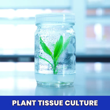 plant tissue culture Manufacturers