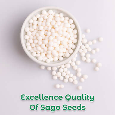 sago seeds Manufacturers