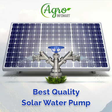 Wholesale solar water pump Suppliers