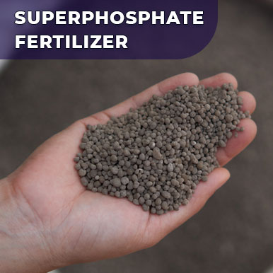 Wholesale superphosphate fertilizer Suppliers