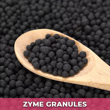 zyme granules Manufacturers