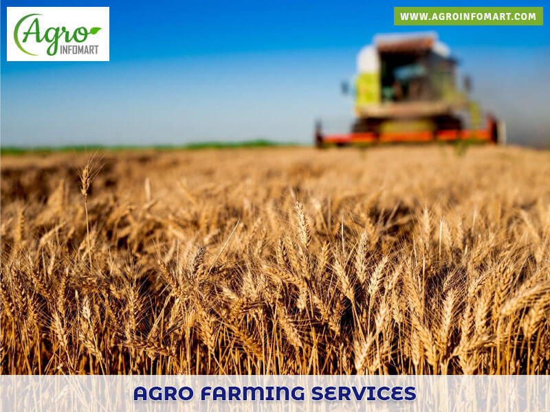 agro farming services Wholesale