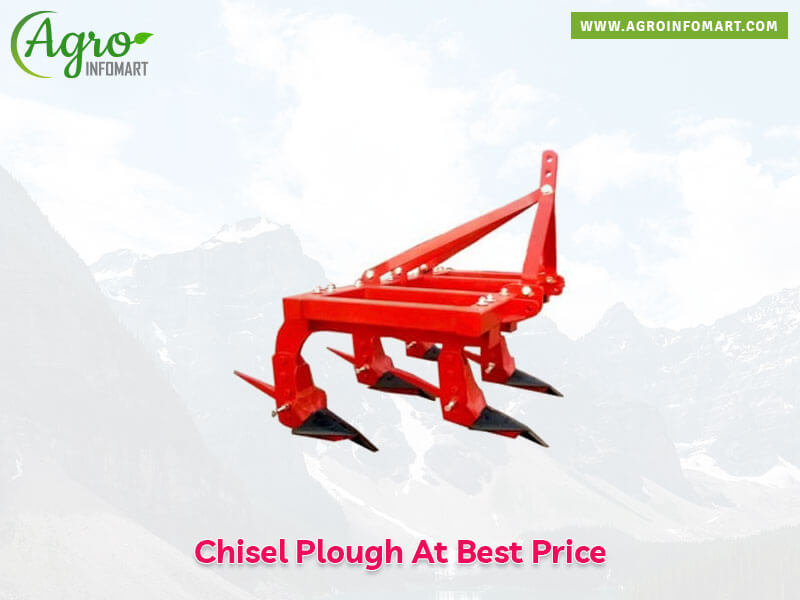 chisel plough Wholesale