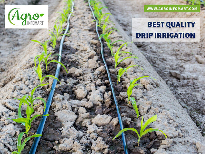 drip irrigation Wholesale