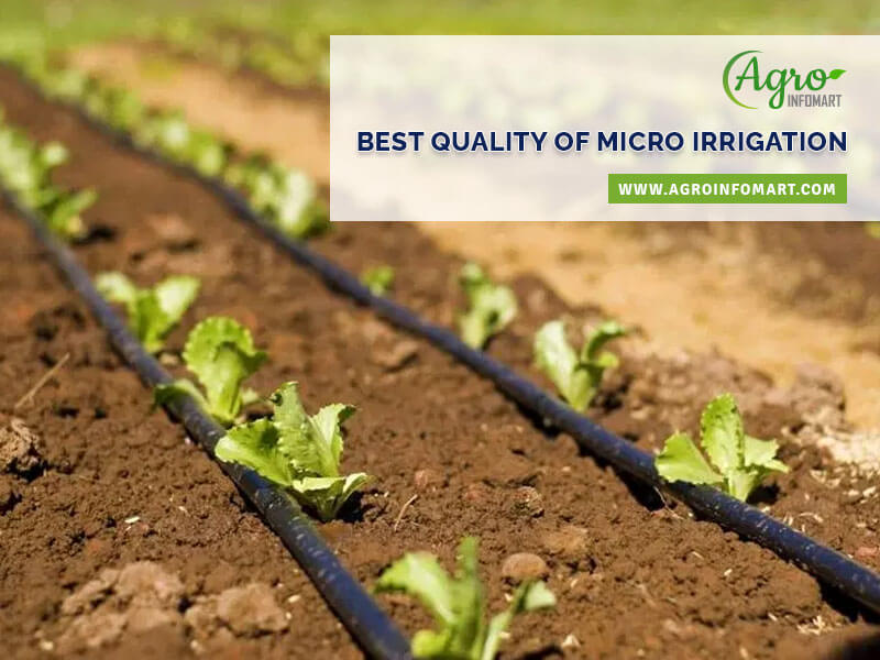 micro irrigation Wholesale