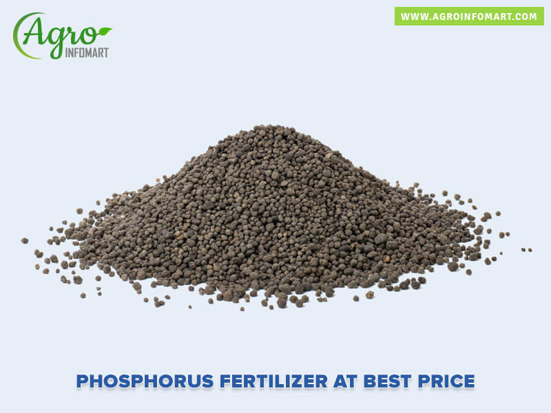 phosphorus fertilizer Wholesale