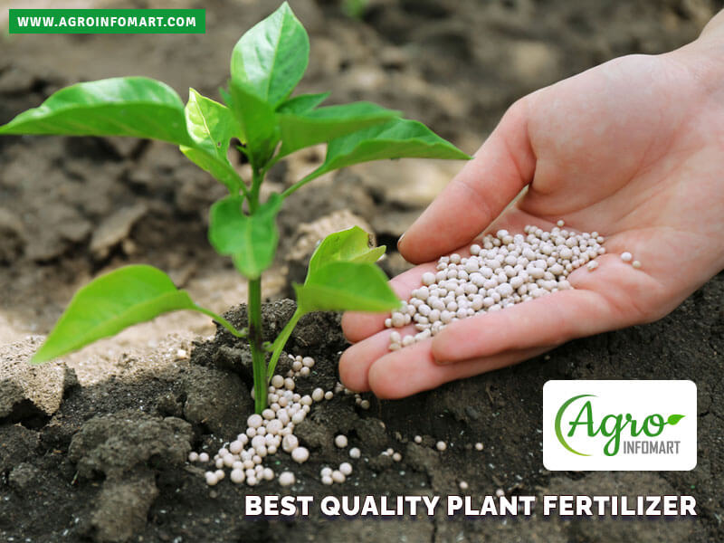 plant fertilizer Wholesale