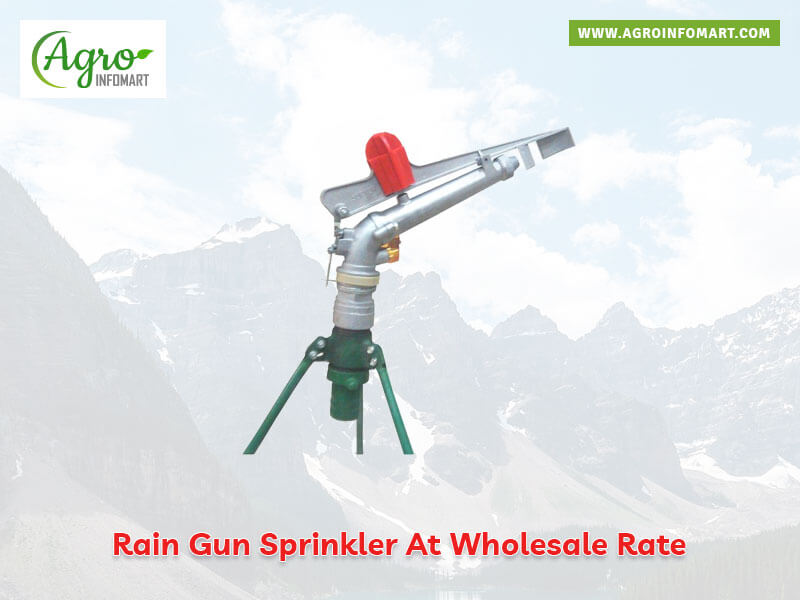 rain gun sprinkler Wholesale