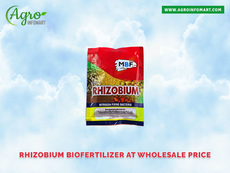 rhizobium biofertilizer Wholesale
