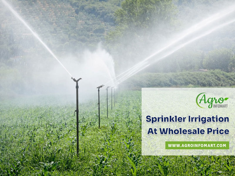 sprinkler irrigation Wholesale