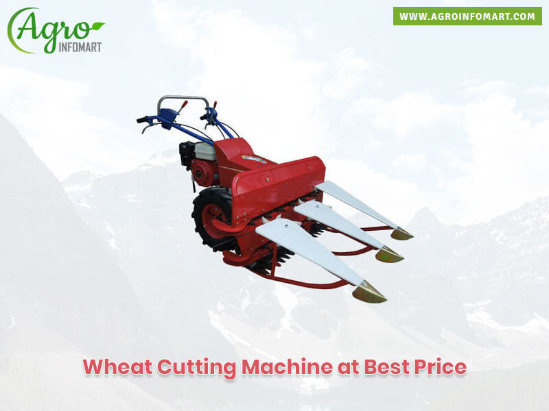 wheat cutting machine Wholesale