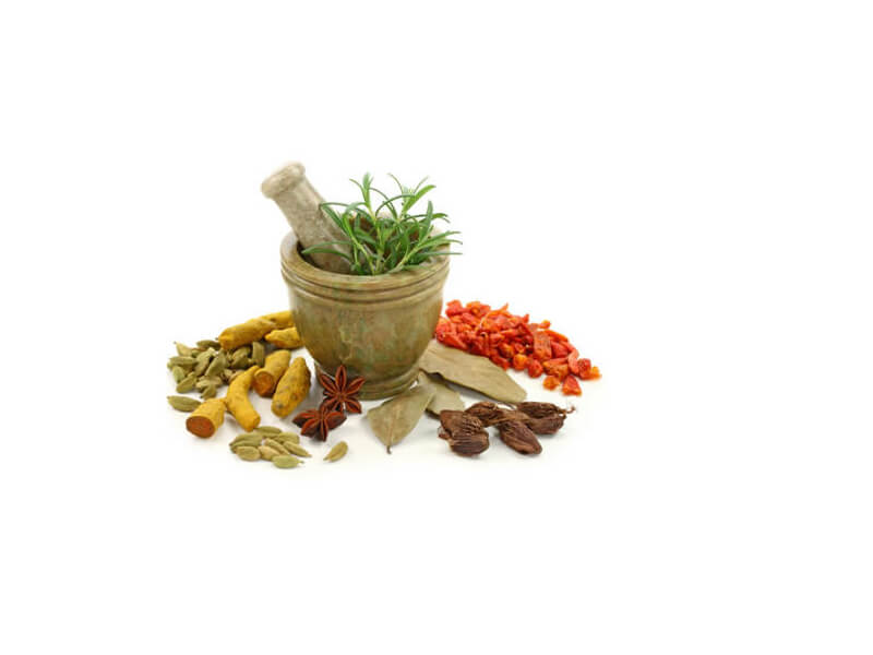 ayurvedic medicinal plants companies list