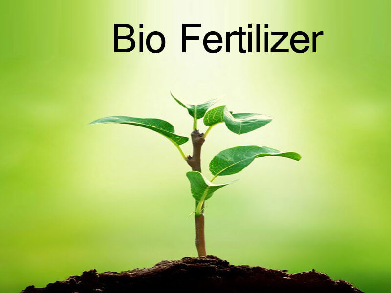 biofertilizers companies list