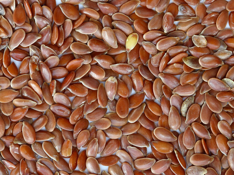 flax seeds companies list