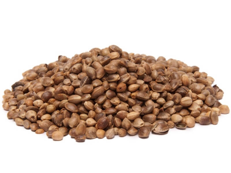 hemp seeds companies list