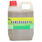 panchagavya fertilizer