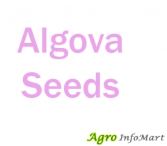 Algova Seeds himatnagar india