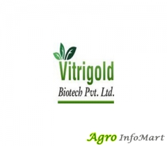 Ambica Agro anand india