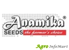Anamika Seeds delhi india