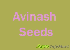Avinash Seeds ahmedabad india