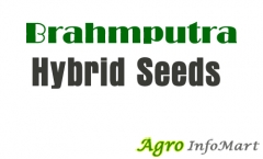BRAHMAPUTRA HYBRID SEEDS PVT LTD hyderabad india