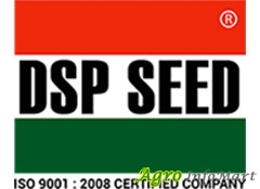DSP seed ahmedabad india