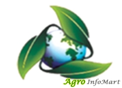Dikson Agro Industries jamnagar india