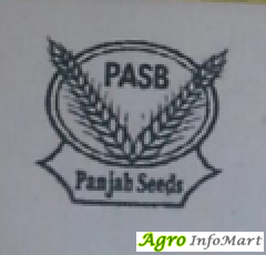 Punjab Agro Seeds Biotech