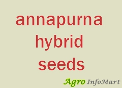 annapurna hybrid seeds sri ganganagar india